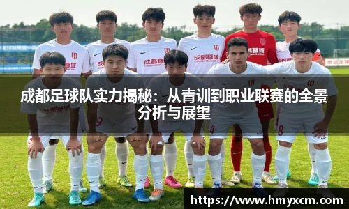 成都足球队实力揭秘：从青训到职业联赛的全景分析与展望